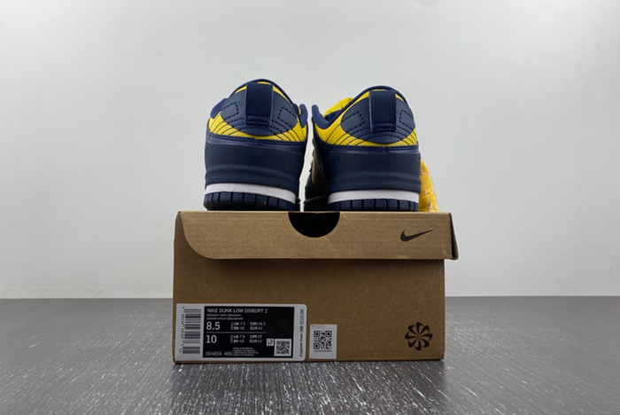Nike Dunk Low Disrupt 2 DV4024-400