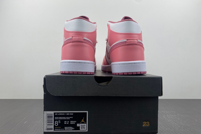 Air Jordan 1 Mid DQ8423-616
