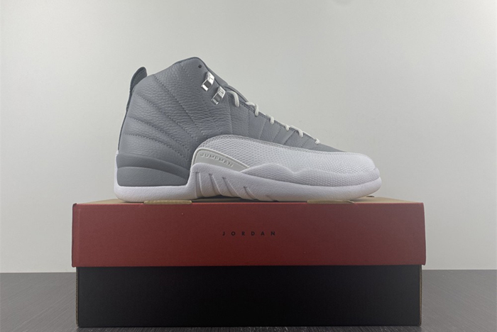 Air Jordan 12 STEALTH  CT8013-015