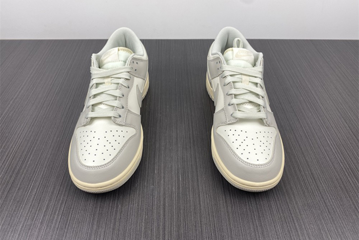 NIKE DUNK LOW  DD1503-107