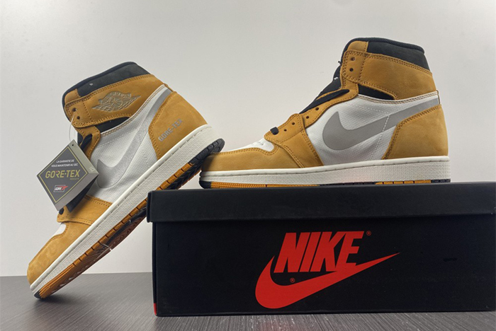 Air Jordan 1 Element  DB2889-700