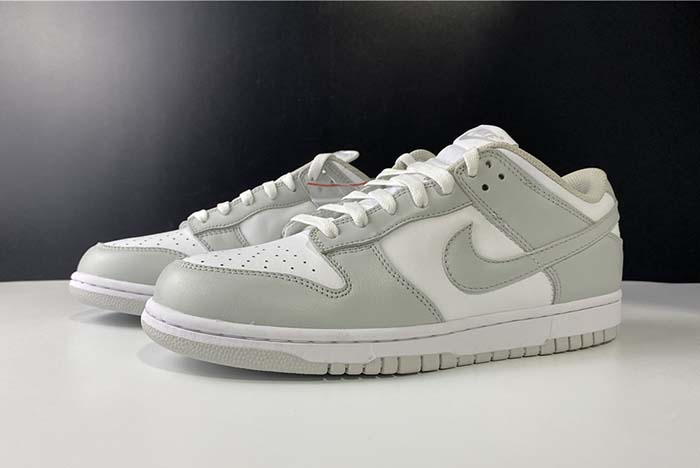 Nike SB Dunk Low Grey fog DD1391-103