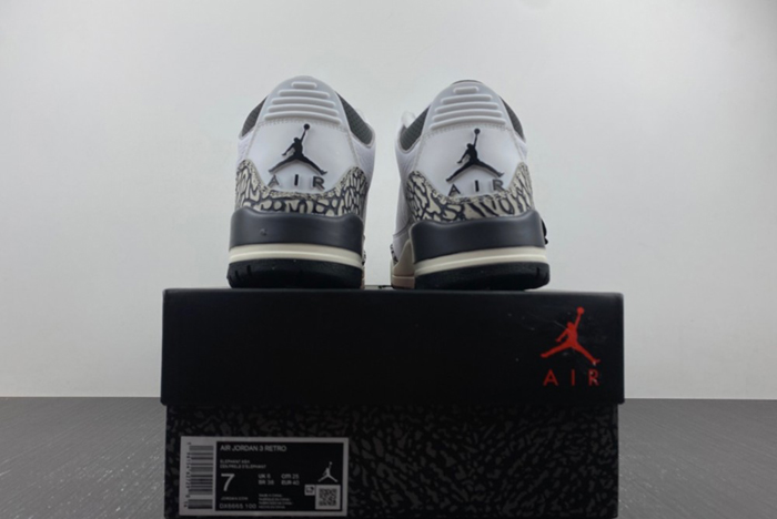 Air Jordan 3 GS “Hide N’ Sneak” DX6665-100