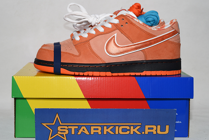 Concepts x Nike SB Dunk Low FD8776-800