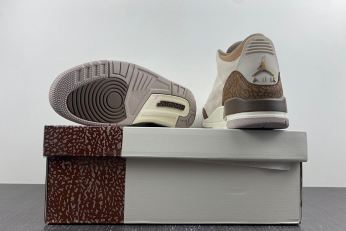 Air Jordan 3 “Palomino”  CT8532-102