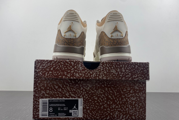 Air Jordan 3 “Palomino”  CT8532-102