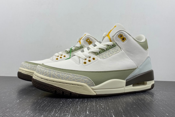 Air Jordan 3 DX6660-800