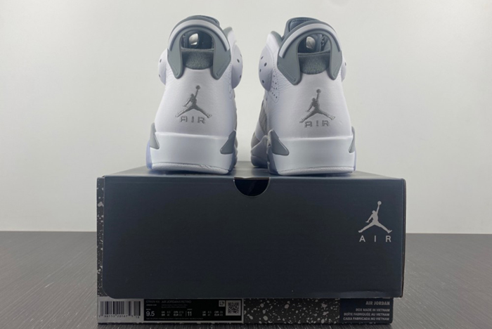 Air Jordan 6 “Cool Grey” CT8529-100