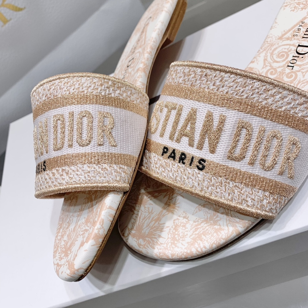 Dior Slippers