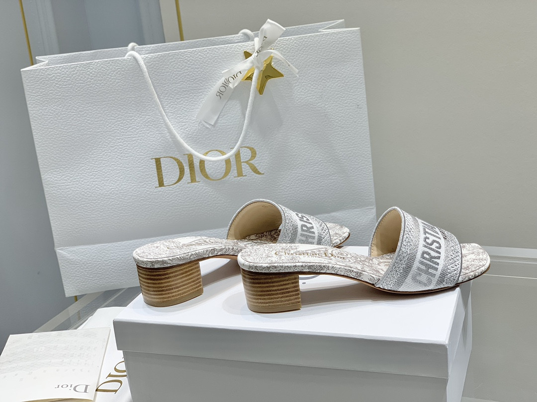 Dior Slippers