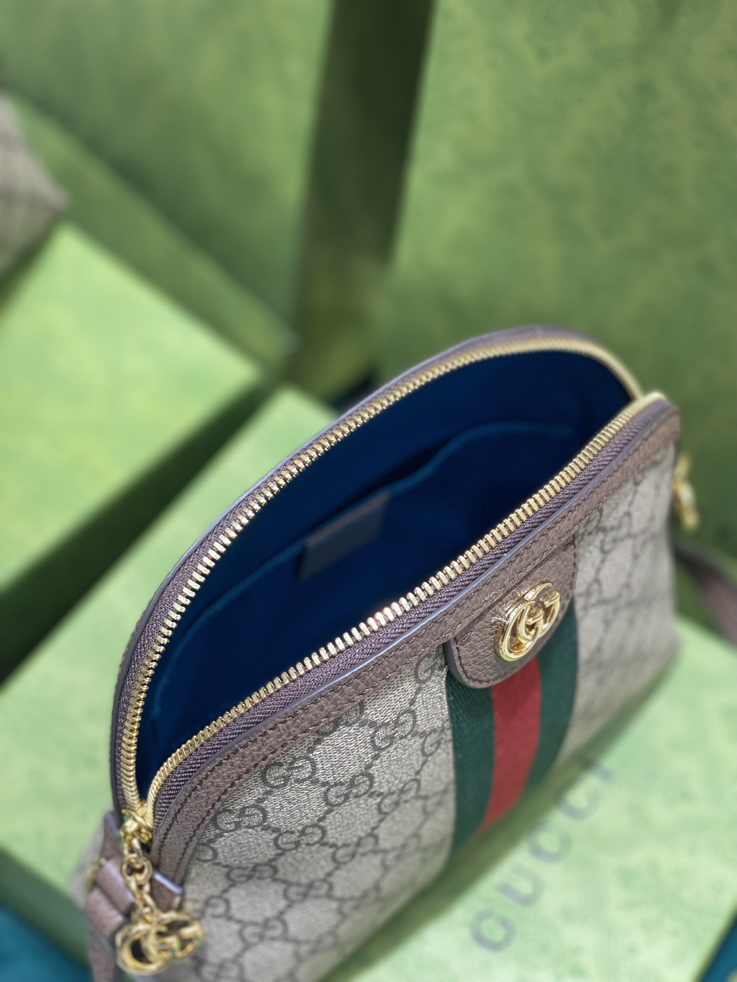 G*u*i ophidia bag