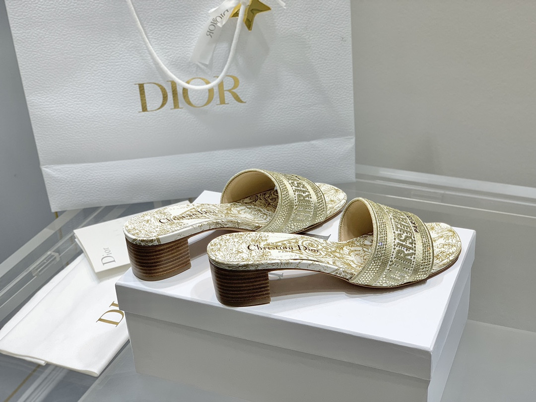 Dior Slippers