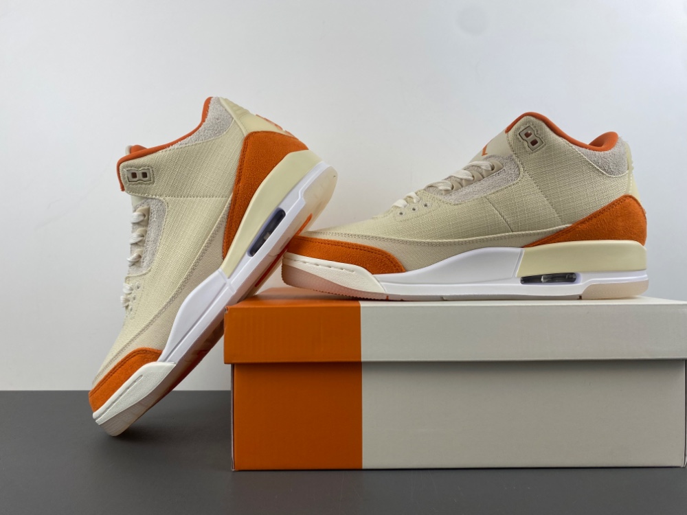 Jordan Air Jordan 3 Retro TEX Fossil Starfish IH7694-200
