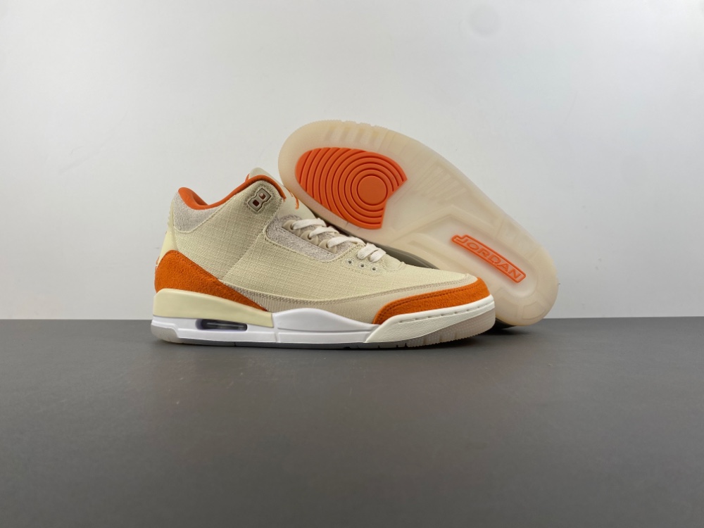 Jordan Air Jordan 3 Retro TEX Fossil Starfish IH7694-200