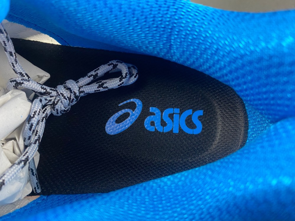 (asics) Gel Nimbus 10.1